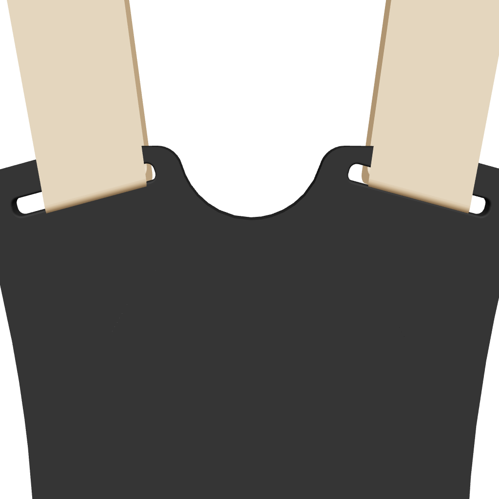 3D Rendering of the StealthRig Mini